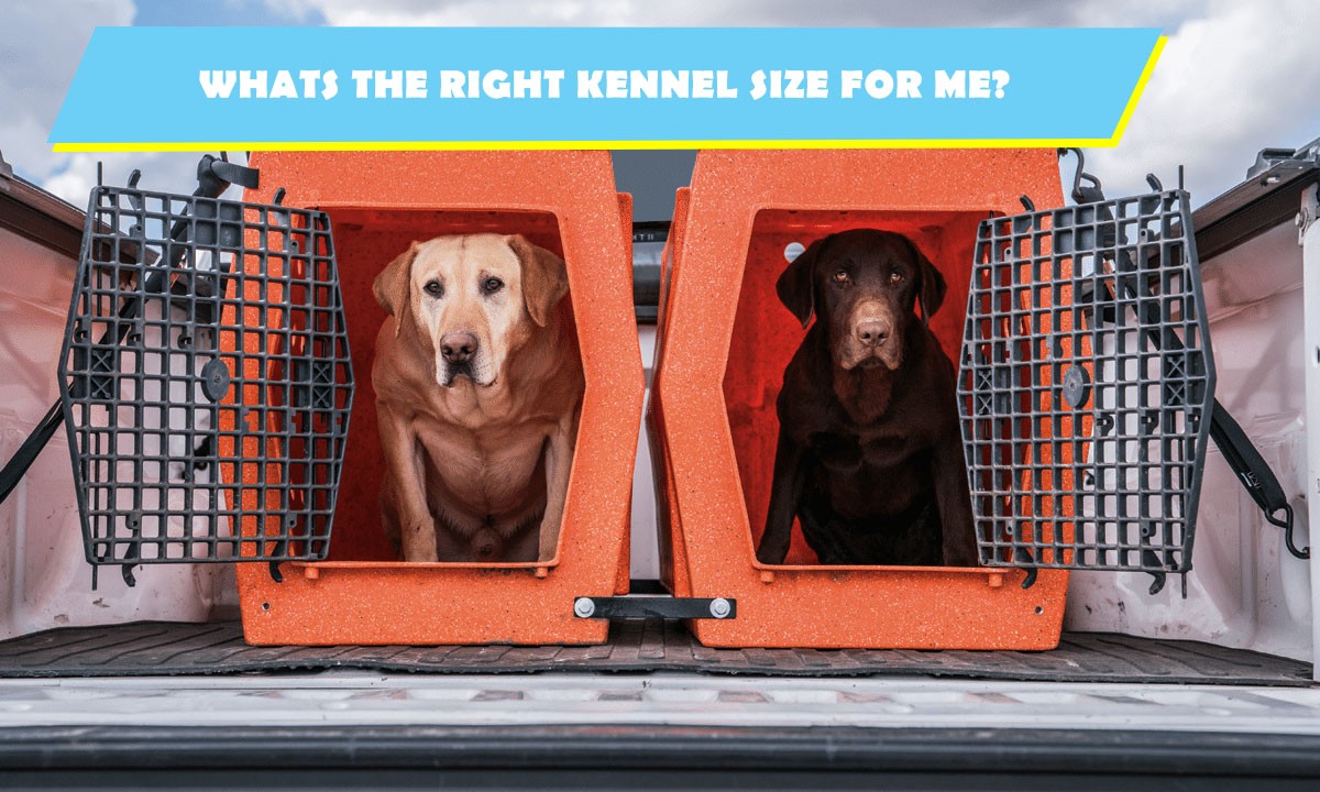 find kennel size for pet travel
