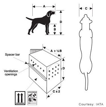 pet kennel sizes