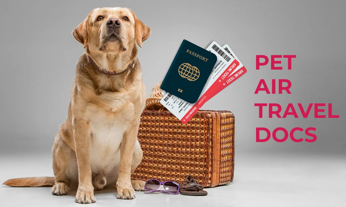 pet air travel docs list