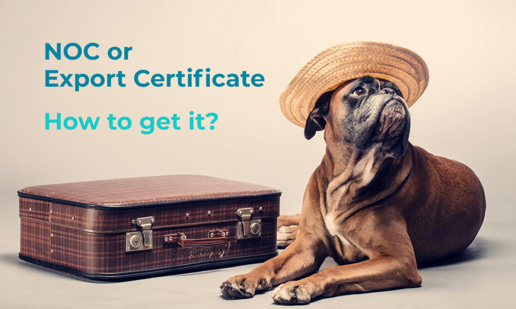 noc or export certificate for pet in India